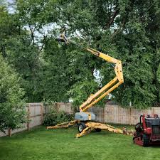 Best Leaf Removal  in Grant, MI