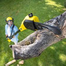 Best Commercial Tree Services  in Grant, MI